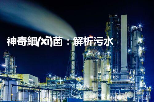 神奇細(xì)菌：解析污水中的隱患，拯救環(huán)境之道！